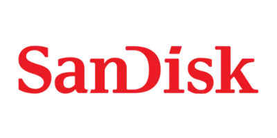 sandisk 3131